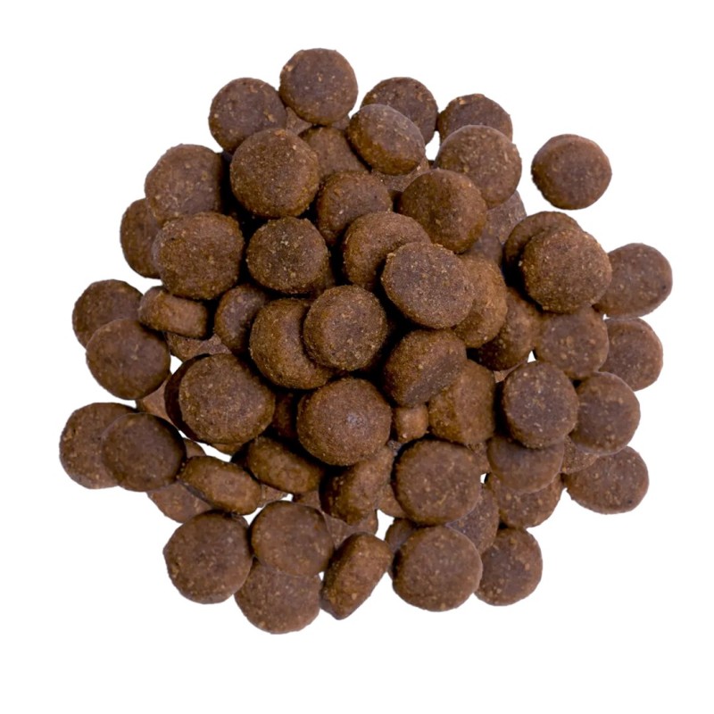 BULT Turkey - dry dog food - 3kg