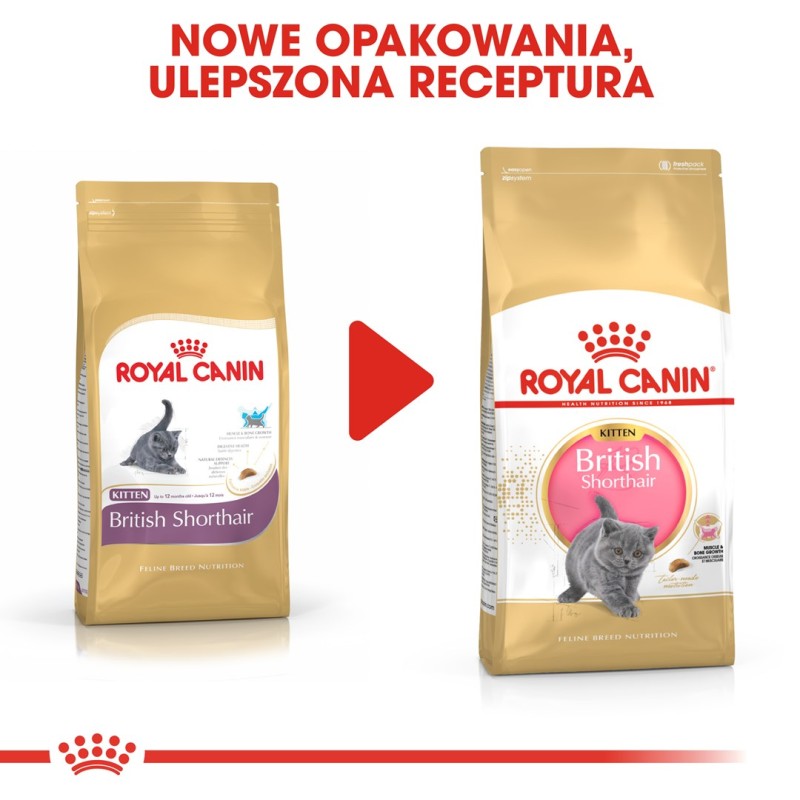 Royal Canin British Shorthair Kitten cats dry food 2 kg Poultry, Rice, Vegetable Royal Canin British Shorthair Kitten cats dry food 2 kg Poultry, Rice, Vegetable