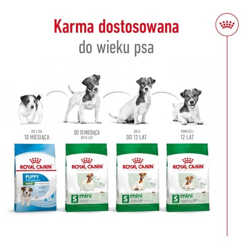 ROYAL CANIN Adult Mini S - dry dog food - 8kg ROYAL CANIN Adult Mini S - dry dog food - 8kg