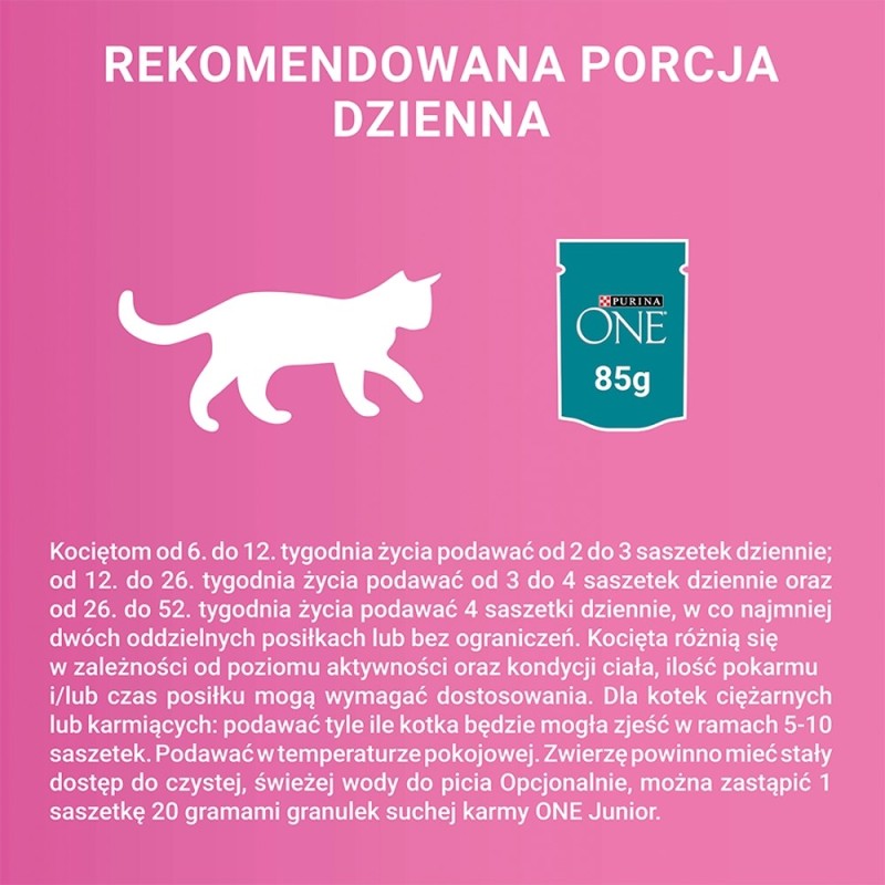 PURINA ONE JUNIOR łosoś/marchew 85g
