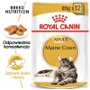 ROYAL CANIN FBN Maine Coon - Cat wet food - sachet 12x 85g ROYAL CANIN FBN Maine Coon - Cat wet food - sachet 12x 85g