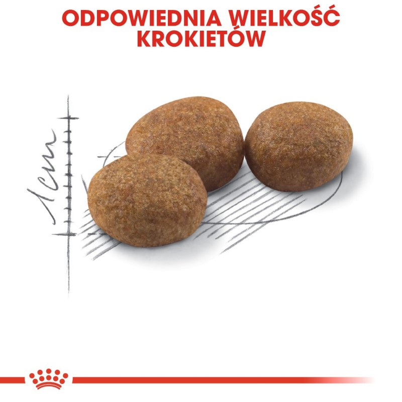 ROYAL CANIN Sterilised 37 - dry cat food - 10 kg ROYAL CANIN Sterilised 37 - dry cat food - 10 kg