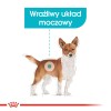 ROYAL CANIN Mini Urinary Care - dry dog food - 1 kg ROYAL CANIN Mini Urinary Care - dry dog food - 1 kg