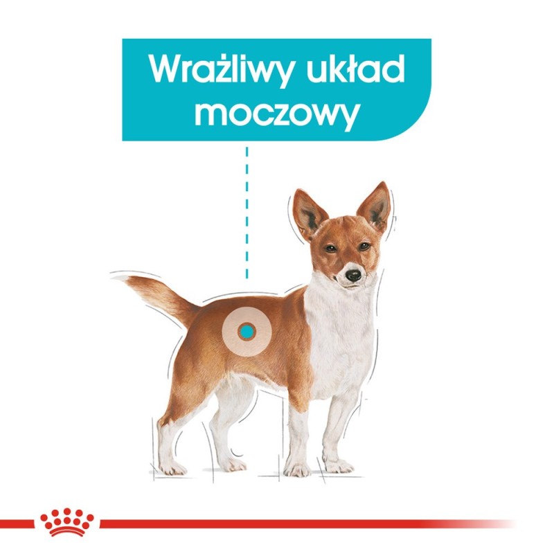 ROYAL CANIN Mini Urinary Care - dry dog food - 1 kg ROYAL CANIN Mini Urinary Care - dry dog food - 1 kg