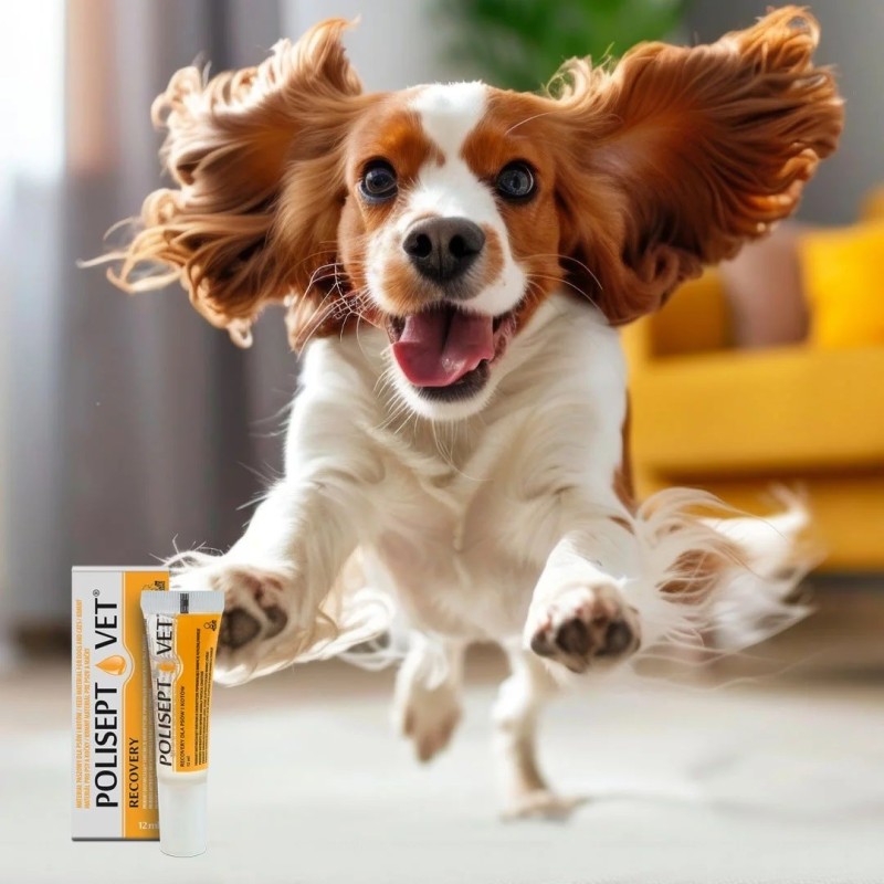 JM SANTE Polisept Vet Recovery - energy supplement for dogs and cats – 12 ml JM SANTE Polisept Vet Recovery - energy supplement for dogs and cats – 12 ml