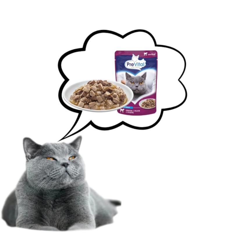 PREVITAL Veal in gravy - wet cat food - 100g PREVITAL Veal in gravy - wet cat food - 100g