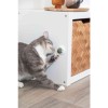 TRIXIE Catnip ball - toy for cat TRIXIE Catnip ball - toy for cat