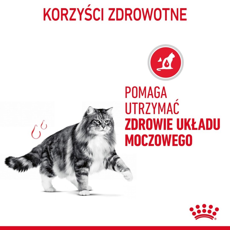Royal Canin Urinary Care dry cat food 10 kg Royal Canin Urinary Care dry cat food 10 kg