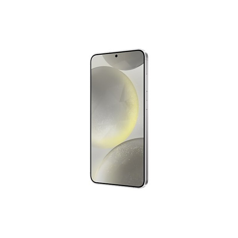 Samsung Galaxy S24+ 17 cm (6.7 Samsung Galaxy S24+ 17 cm (6.7