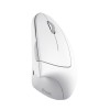 Trust Verto Vertical Ergonomic wireless mouse white (25132) Trust Verto Vertical Ergonomic wireless mouse white (25132)