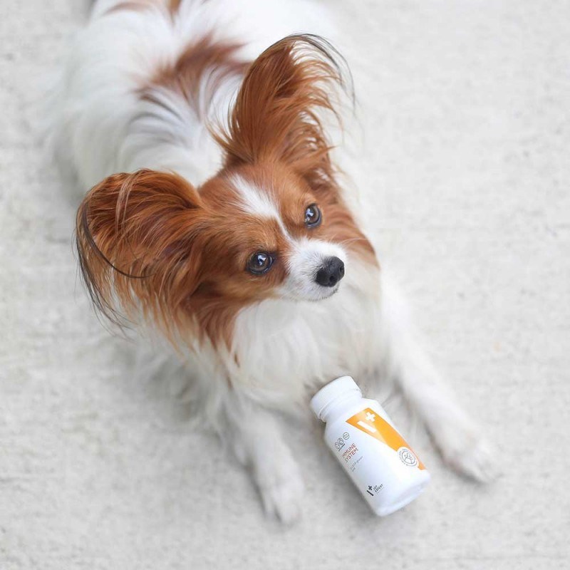 VET EXPERT Immune System - immune support preparation for dogs and cats - 30 caps. VET EXPERT Immune System - immune support preparation for dogs and cats - 30 caps.