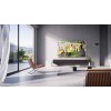 TCL 55A300 Pro 55 TCL 55A300 Pro 55