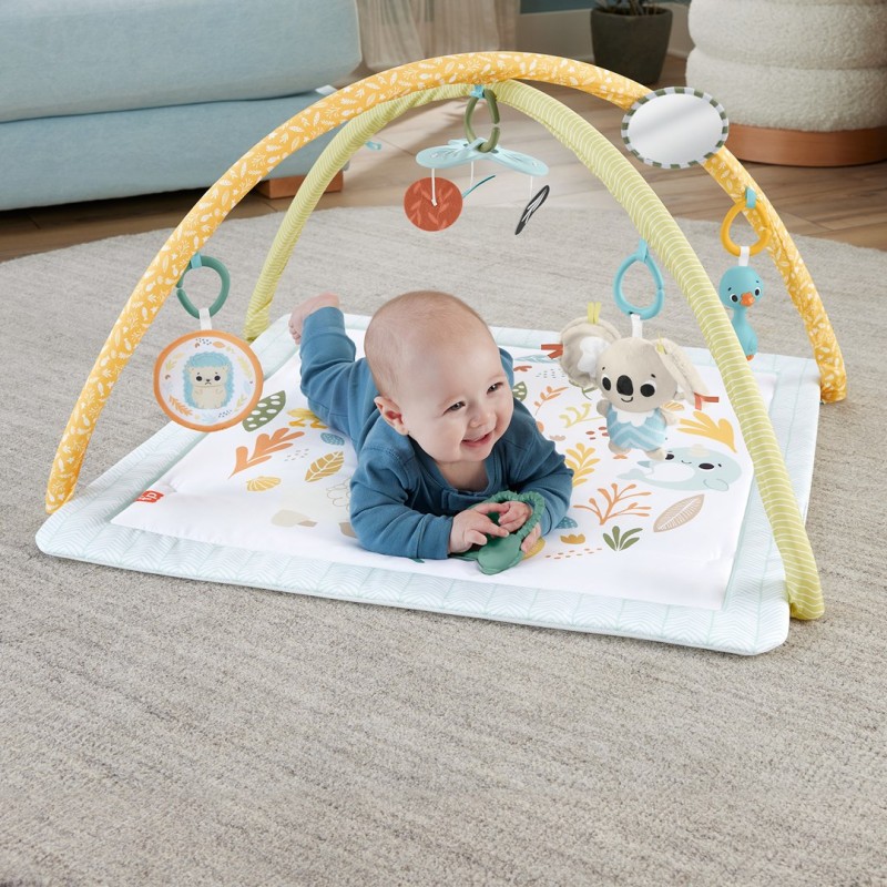 Fisher-Price Simply Senses Newborn Gym Baby Activity Mat with 6 Sensory Toys Fisher-Price Simply Senses Newborn Gym Baby Activity Mat with 6 Sensory Toys