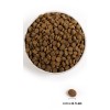 Acana Regionals Pacifica Dog 11,4 kg Acana Regionals Pacifica Dog 11,4 kg
