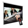 Avtek Business Electric Screen 300P
