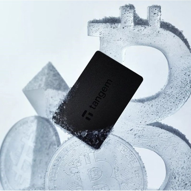 Tangem Wallet cryptocurrency wallet - 2 cards Tangem Wallet cryptocurrency wallet - 2 cards