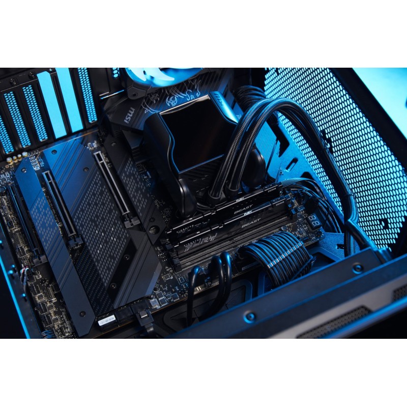 Kingston Technology FURY Beast 32GB 6000MT/s DDR5 CL36 DIMM Black EXPO Kingston Technology FURY Beast 32GB 6000MT/s DDR5 CL36 DIMM Black EXPO