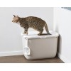 SAVIC HOP Coffee Brown with White Lid – Cat Litter Tray – 58.5x39x39.5 cm – 1 pc. SAVIC HOP Coffee Brown with White Lid – Cat Litter Tray – 58.5x39x39.5 cm – 1 pc.