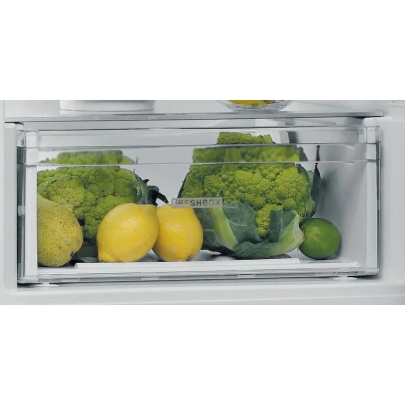 WMF KULT X electric food chopper 1.25 L Black,Chrome,Transparent 80 W WMF KULT X electric food chopper 1.25 L Black,Chrome,Transparent 80 W