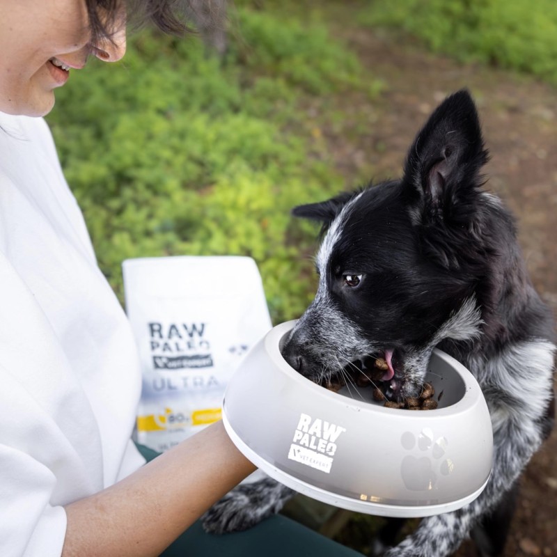 RAW PALEO Ultra Medium&Large Puppy Turkey - dry food for puppies - 2 kg RAW PALEO Ultra Medium&Large Puppy Turkey - dry food for puppies - 2 kg