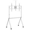 Maclean TV stand / cart, camera shelf, on casters, 55-100