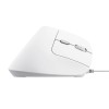Trust Bayo II mouse Office Right-hand USB Type-A Optical 2400 DPI Trust Bayo II mouse Office Right-hand USB Type-A Optical 2400 DPI