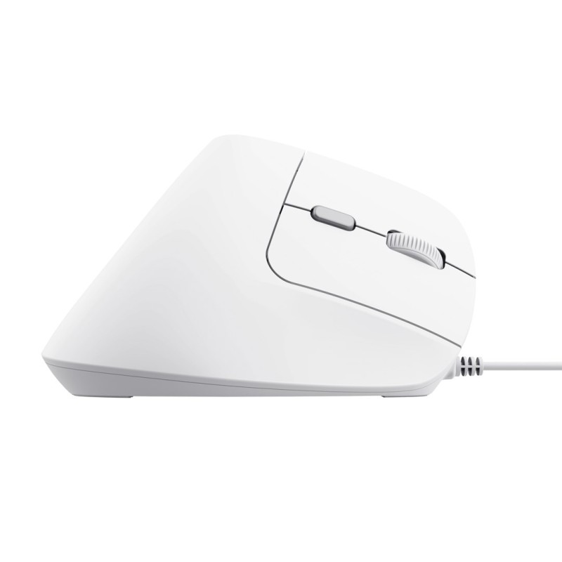 Trust Bayo II mouse Office Right-hand USB Type-A Optical 2400 DPI Trust Bayo II mouse Office Right-hand USB Type-A Optical 2400 DPI