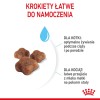 Royal Canin Mother & Babycat 34 dry cat food 0,4 kg Royal Canin Mother & Babycat 34 dry cat food 0,4 kg