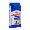 BOSCH Sanabelle Sensitive Lamb - dry cat food - 10 kg BOSCH Sanabelle Sensitive Lamb - dry cat food - 10 kg