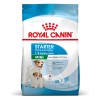 ROYAL CANIN SHN Mini Starter Mother & Babydog - dry dog food - 4 kg ROYAL CANIN SHN Mini Starter Mother & Babydog - dry dog food - 4 kg