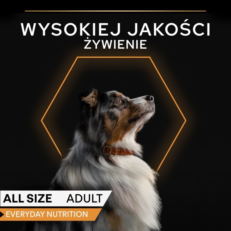 PURINA Pro Plan Everyday nutrition All size Adult Fish in jelly - wet dog food - 400g