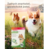 Bozita - Kitten Grain free Chicken 2 kg Bozita - Kitten Grain free Chicken 2 kg