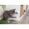 TRIXIE Catnip ball - toy for cat TRIXIE Catnip ball - toy for cat