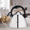 Kettle MAESTRO MR-1314 stainless steel 3 l