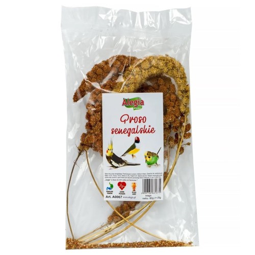 ALEGIA Senegalese Millet - treat for birds and rodents - 80g ALEGIA Senegalese Millet - treat for birds and rodents - 80g