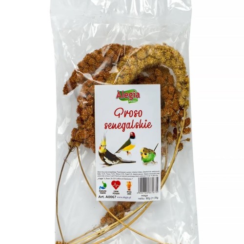 ALEGIA Senegalese Millet - treat for birds and rodents - 80g