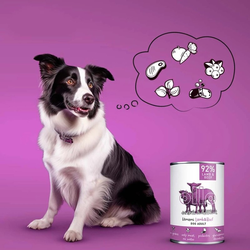 OLLO Umami Lamb and Beef – wet dog food – 400 g OLLO Umami Lamb and Beef – wet dog food – 400 g