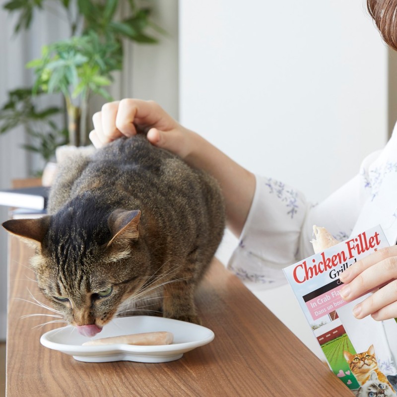 INABA Grilled Chicken Fillet in chicken flavored broth - cat treats - 25 g INABA Grilled Chicken Fillet in chicken flavored broth - cat treats - 25 g