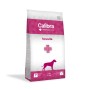 CALIBRA VD Dog Struvite - dry dog food - 2kg