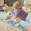 Fisher-Price Planet Friends Roly-Poly Panda Baby Activity Play Mat with 2 Toys Fisher-Price Planet Friends Roly-Poly Panda Baby Activity Play Mat with 2 Toys