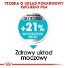 ROYAL CANIN Mini Urinary Care - dry dog food - 1 kg ROYAL CANIN Mini Urinary Care - dry dog food - 1 kg