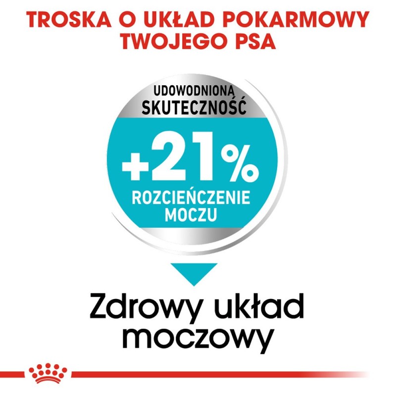 ROYAL CANIN Mini Urinary Care - dry dog food - 1 kg ROYAL CANIN Mini Urinary Care - dry dog food - 1 kg