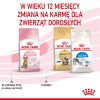 Royal Canin Kitten Sterilised cats dry food 3.5 kg Poultry Royal Canin Kitten Sterilised cats dry food 3.5 kg Poultry