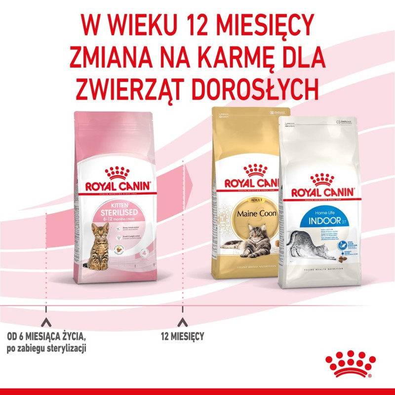 Royal Canin Kitten Sterilised cats dry food 3.5 kg Poultry Royal Canin Kitten Sterilised cats dry food 3.5 kg Poultry