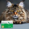 JM SANTE GREEN SANTE NATURALNA MAŚĆ NA ŁAPY 60 ml JM SANTE GREEN SANTE NATURALNA MAŚĆ NA ŁAPY 60 ml
