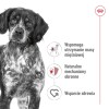 BOZITA Wątróbka drobiowa w sosie - dla kota - 370g BOZITA Wątróbka drobiowa w sosie - dla kota - 370g