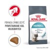 ROYAL CANIN Hairball Care Adult - dry cat food - 400g