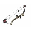 Poe Lang Rex Quad 25-45lb 28’ pulley bow , camo