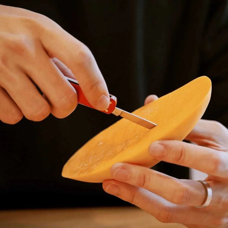 NexTool Mini Pocket Knife NE0142 4-in-1 red NexTool Mini Pocket Knife NE0142 4-in-1 red