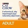 PURINA Cat Chow Chicken, Zucchini - wet cat food - 10x85 g PURINA Cat Chow Chicken, Zucchini - wet cat food - 10x85 g
